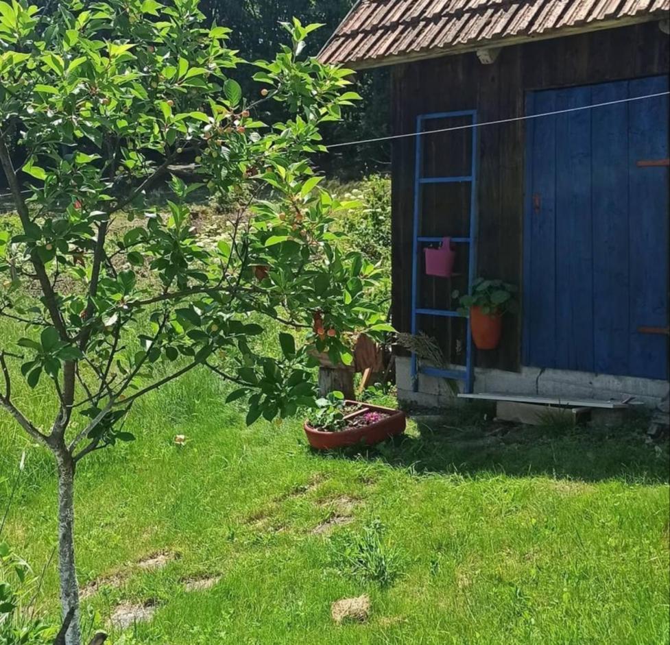Kuca Despot Διαμέρισμα Kremna Εξωτερικό φωτογραφία